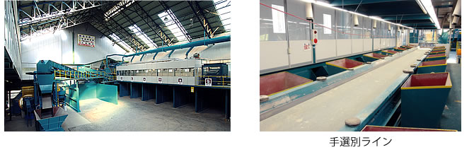 手選別ライン